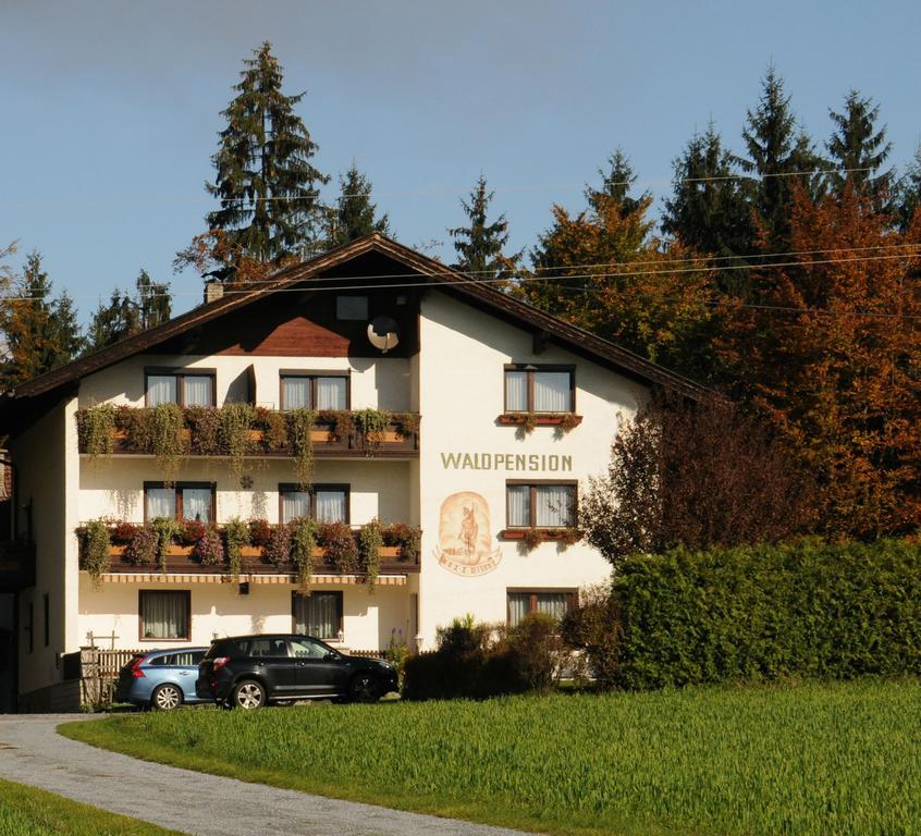 Waldpension Schiefling Am See Exteriér fotografie