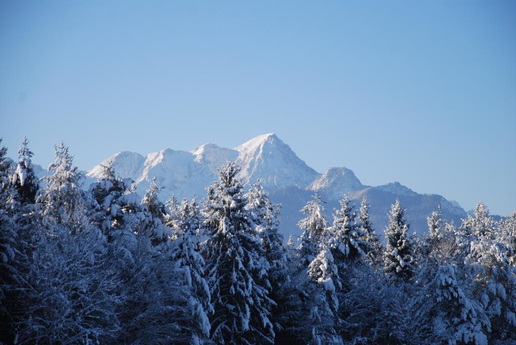 Waldpension Schiefling Am See Exteriér fotografie